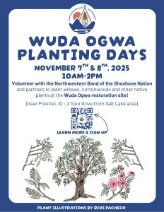 Wuda Ogwa Planting Days 2025